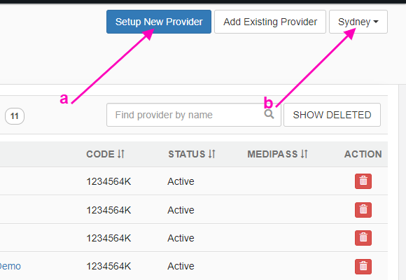 setup_new_provider.png